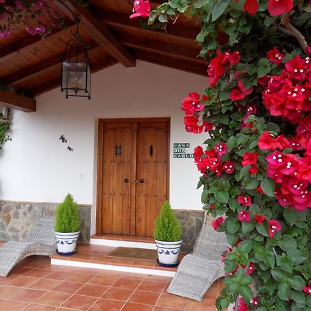 Bed & Breakfast | Guest House Casa Don Carlos Alhaurín el Grande Esterno foto