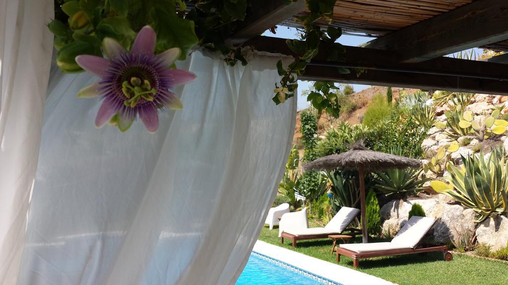 Bed & Breakfast | Guest House Casa Don Carlos Alhaurín el Grande Esterno foto