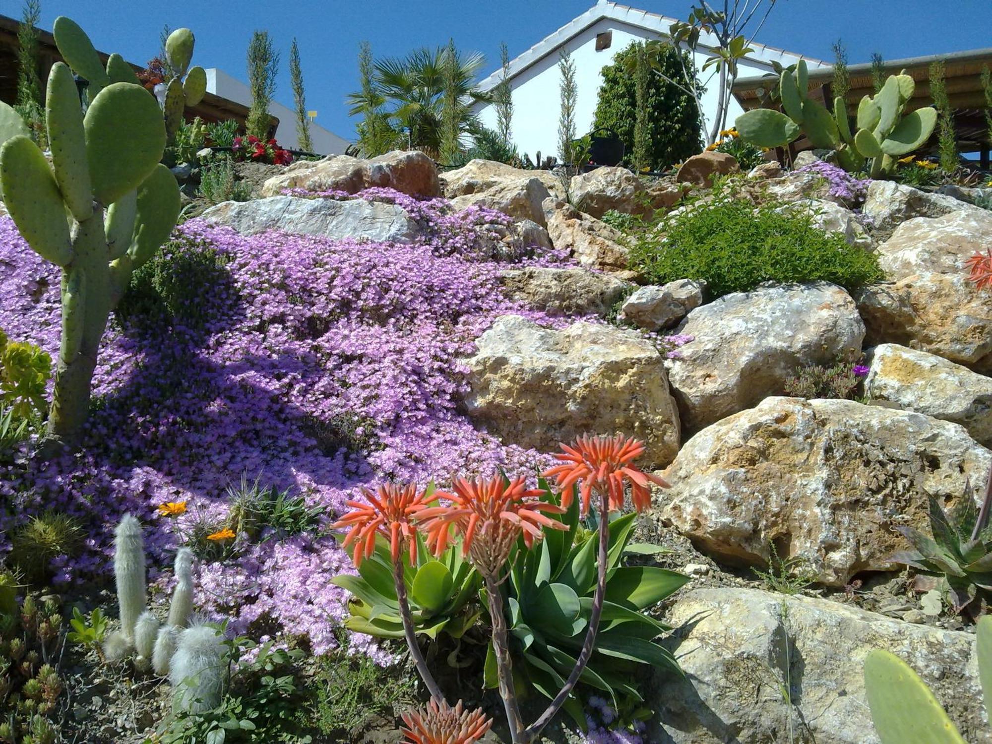Bed & Breakfast | Guest House Casa Don Carlos Alhaurín el Grande Esterno foto