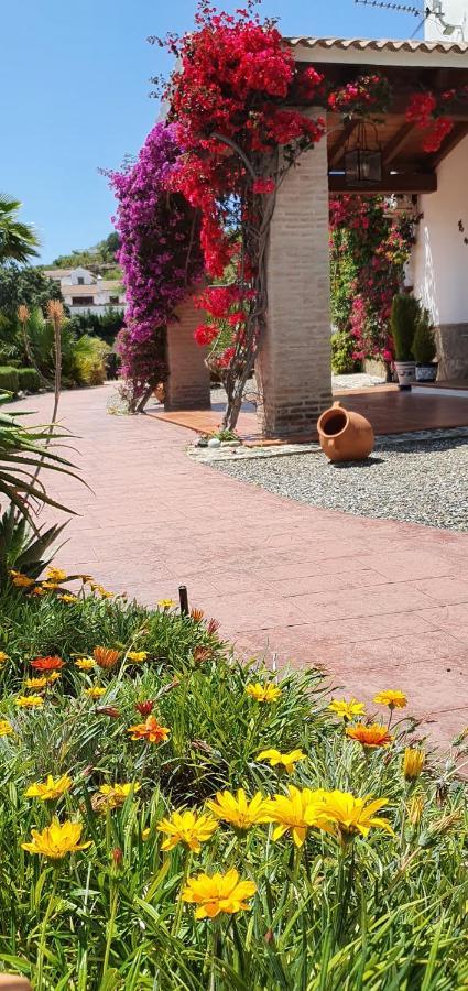 Bed & Breakfast | Guest House Casa Don Carlos Alhaurín el Grande Esterno foto